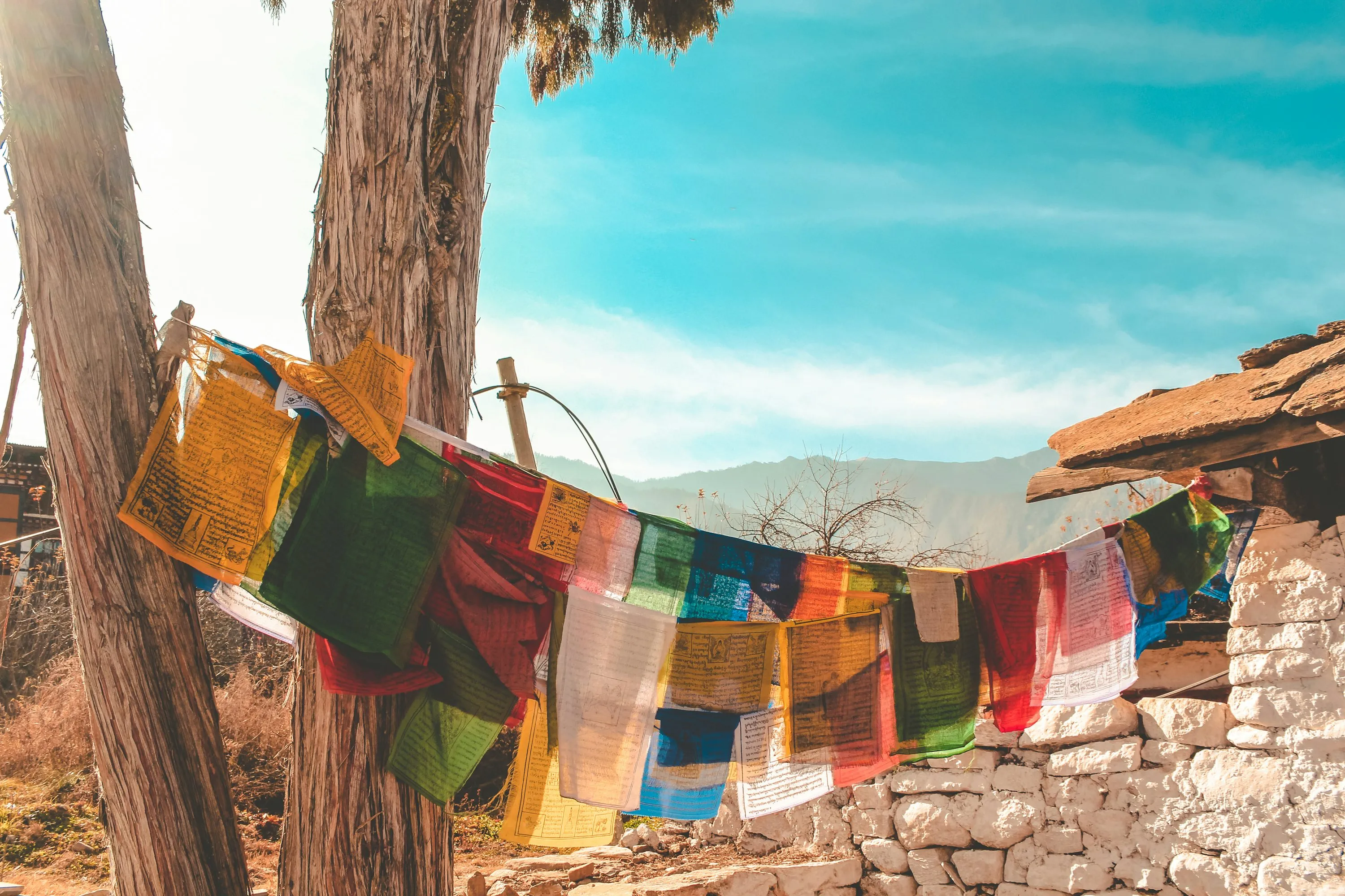 How to Travel to Bhutan from Taiwan (2025): A Complete Guide to Visa, SDF, Flights, & Itineraries