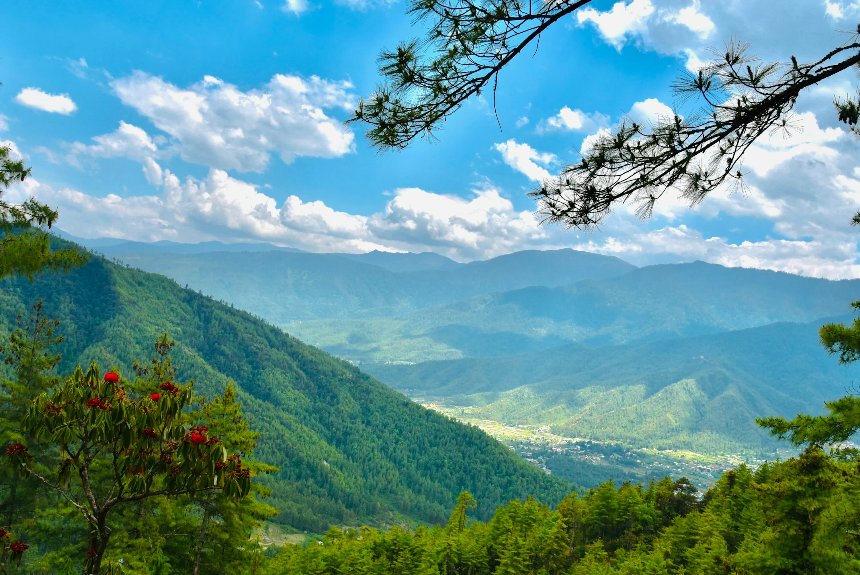 How to Travel to Bhutan from Israel (2025): A Complete Guide to Visa, SDF, Flights, & Itineraries