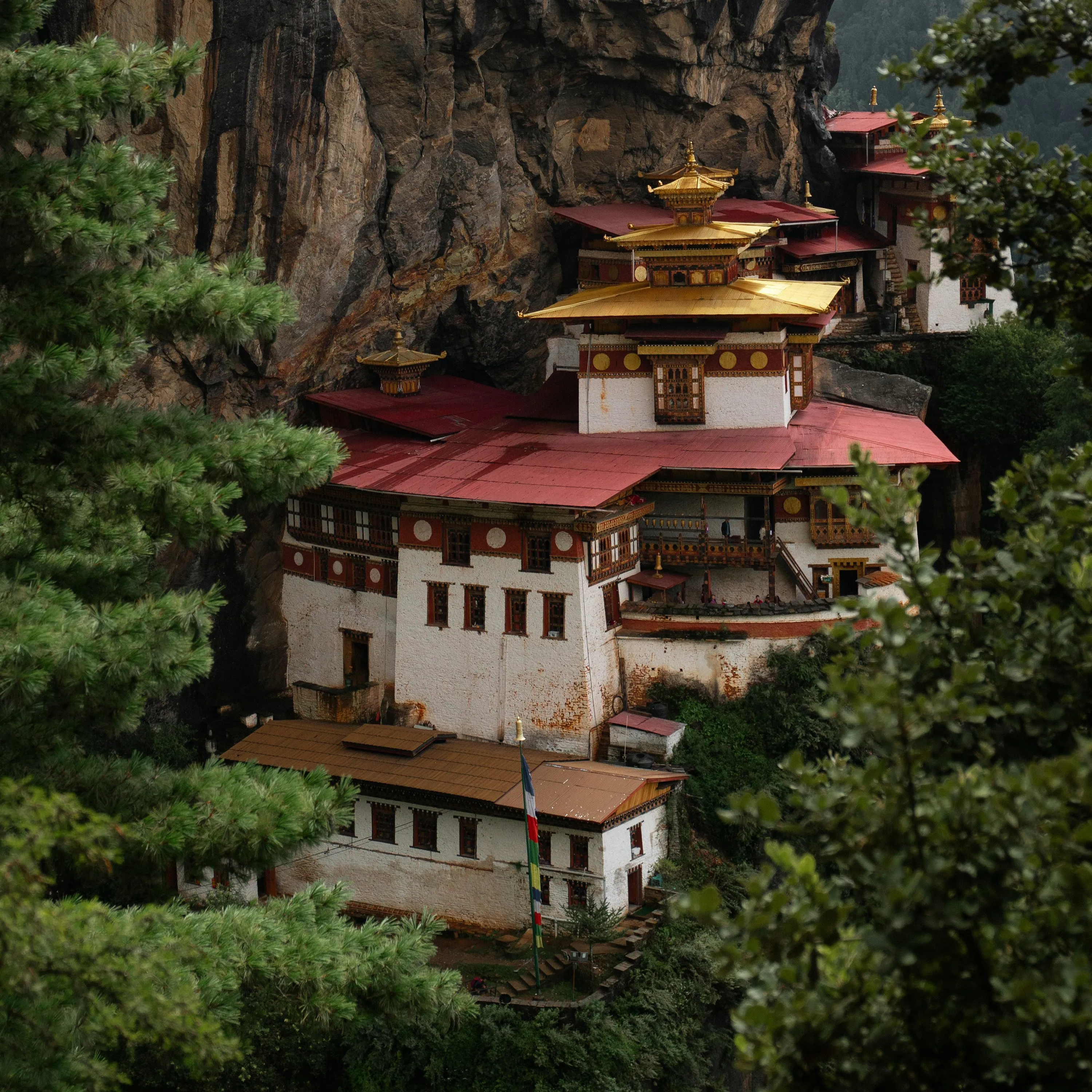 How to Travel to Bhutan from Chad (2025): A Complete Guide to Visa, SDF, Flights, & Itineraries