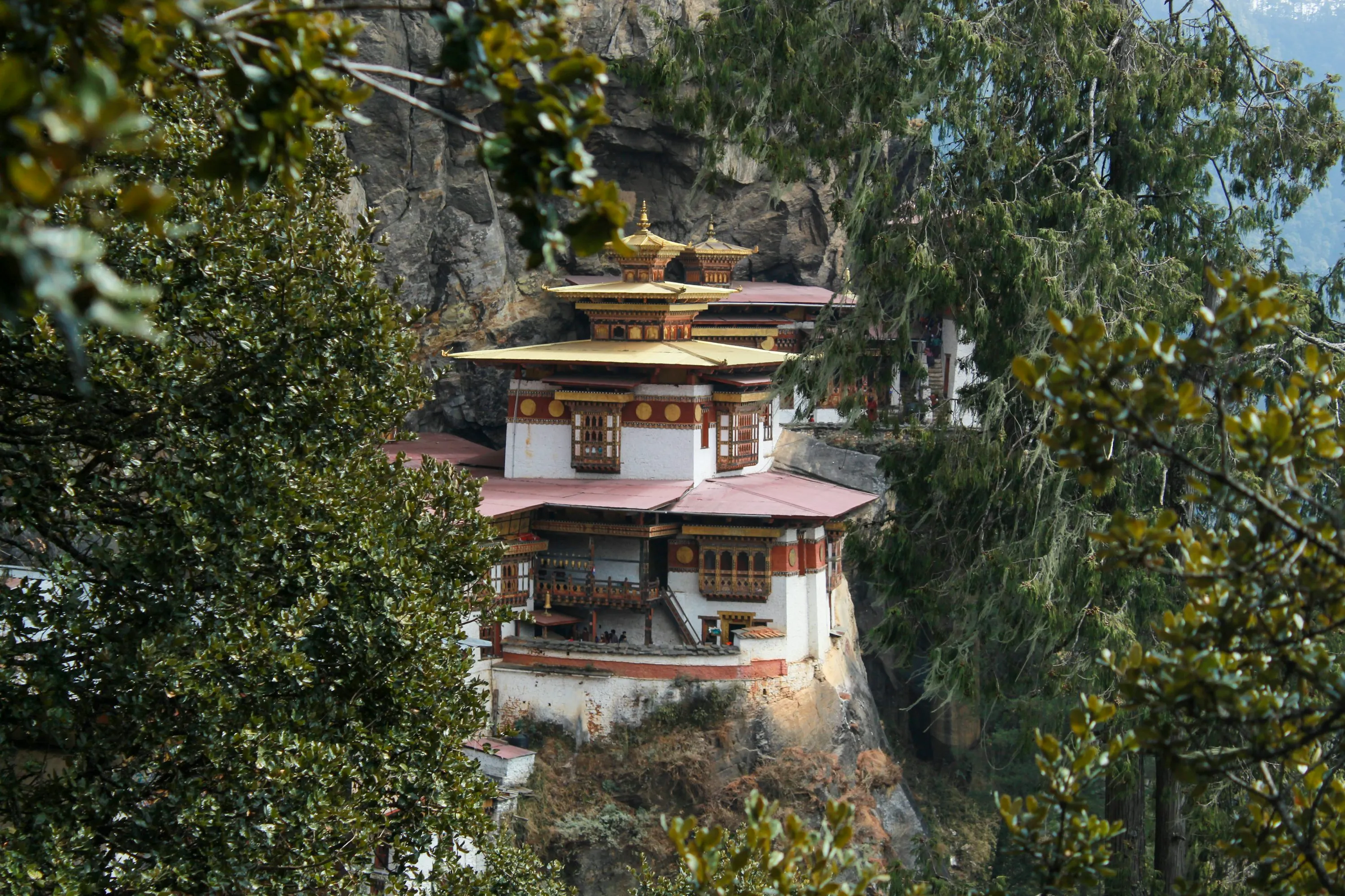 How to Travel to Bhutan from Dominica (2025): A Complete Guide to Visa, SDF, Flights, & Itineraries