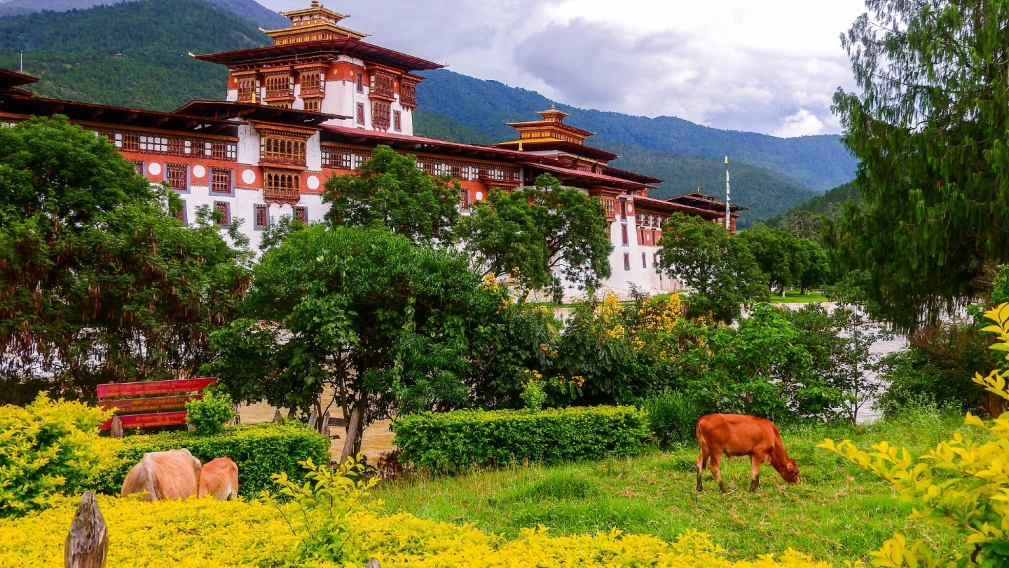 How to Travel to Bhutan from China (2026): A Complete Guide to Visa, SDF, Flights, & Itineraries